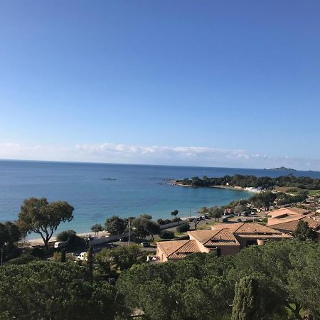 Superbe Appartement T2 Vue Magnifique Sanguinaires A 50M De La Plage Ajaccio  Kültér fotó